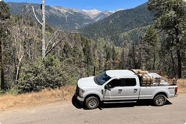 hard working synthetics